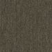 PENTZ COLORPOINT TILE HAZELNUT Collection