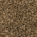 PHENIX SOLSTICE SASSY SAND Collection