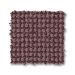 TUFTEX ALLURING MAHOGANY Collection