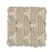TUFTEX HAVENCREST BASALT Collection