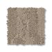 TUFTEX TRACE CANYON Collection