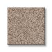 TUFTEX SUMPTUOUS I TOASTED GRAIN Collection