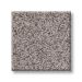 TUFTEX SUMPTUOUS I RUSTIC GRAY Collection