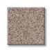 TUFTEX SUMPTUOUS I EARTHEN Collection