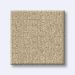 TUFTEX VIGNETTE CHAMPAGNE Collection