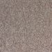 SOUTHWIND STARLIGHT BRAVADO Collection