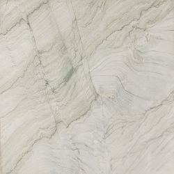 Daltile Natural Quartzite - Natural Stone Slab Pegasus White