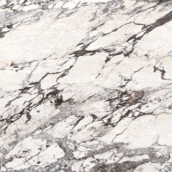 Daltile Elemental Selection Calacatta Aries