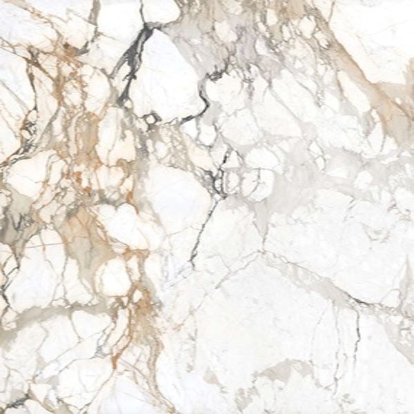 Daltile Elemental Selection Calacatta Topaz