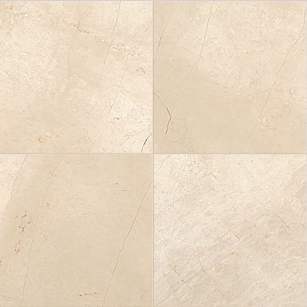 Daltile Marble Phaedra Cream