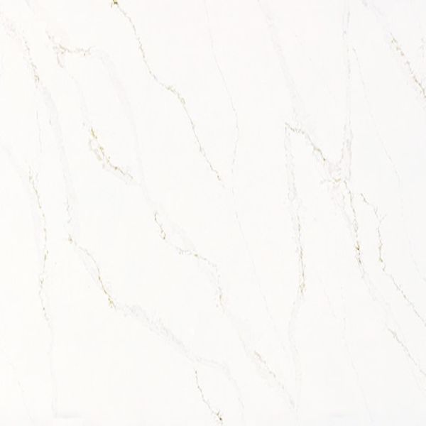Daltile One Quartz - Marble Look Calacatta Alabaster
