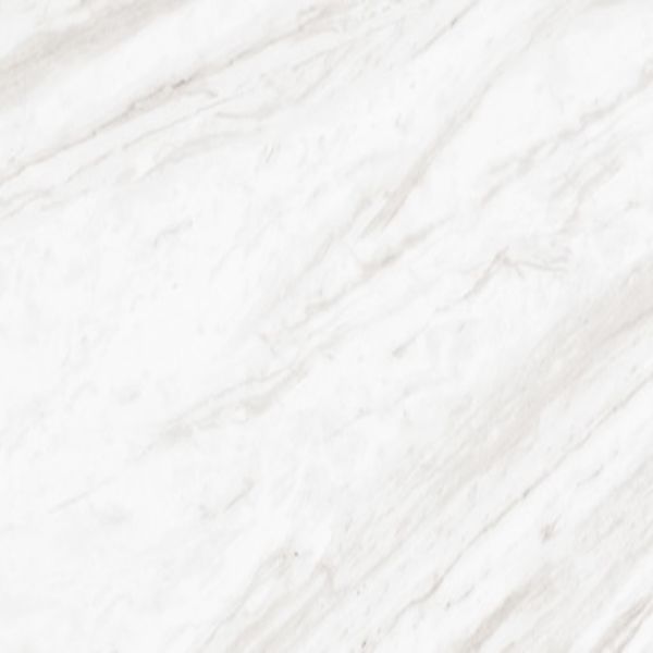 Daltile Perpetuo Timeless White