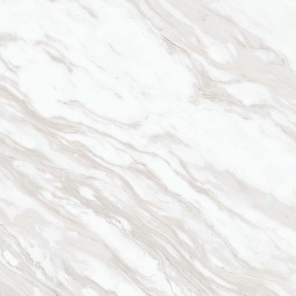 Daltile Perpetuo Timeless White