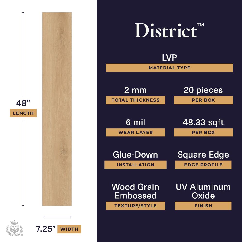 Lions Floor District Billings LI-DT01