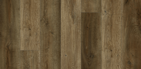 Lions Floor Bambino Ganache BB-III