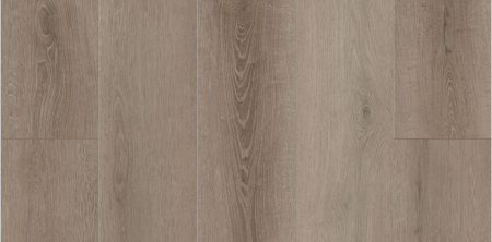 Lions Floor Bambino Coffee Feather BB-VI