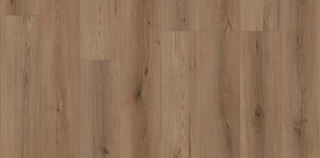 Lions Floor Canyon Coast Alpine Ambiance LI-CC02