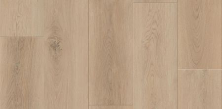 Lions Floor District Max Scarsdale LI-DM02