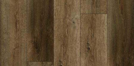 Lions Floor District Pro Chandler LI-DP10