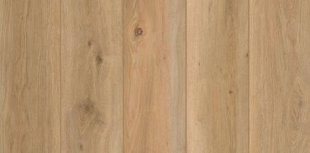Lions Floor Indoor Delight Shoreline Décor LI-ID12