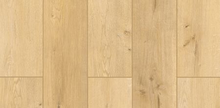 Lions Floor Lone Star Spirit More Mesa LI-TS104V2