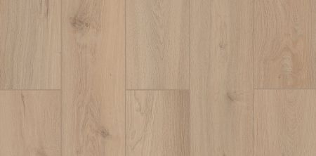 Lions Floor Lone Star Spirit XL Sea Shell LI-TS207