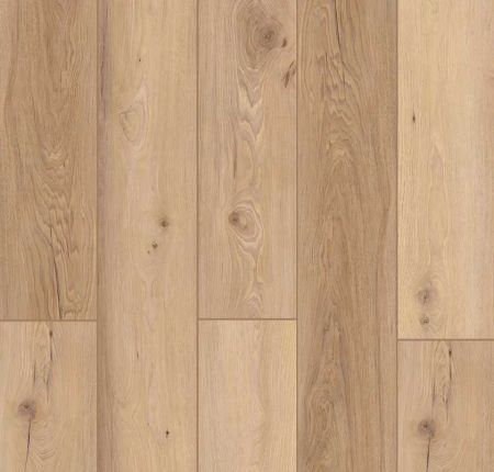 Lions Floor Bambino Vienna Toast BB-XVII