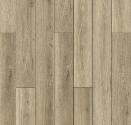 Lions Floor Bambino Dolce BB-I