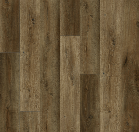 Lions Floor Bambino Ganache BB-III