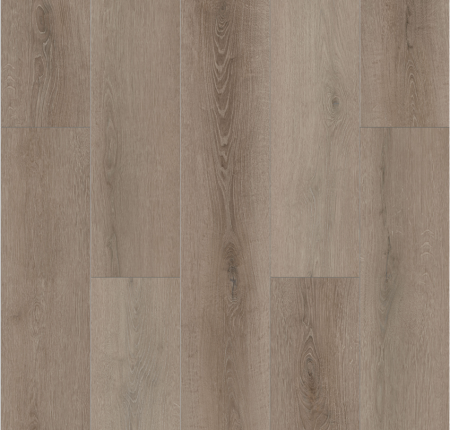 Lions Floor Bambino Coffee Feather BB-VI