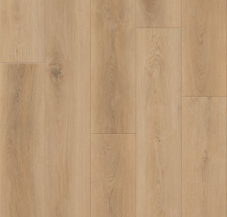 Lions Floor District Max Atherton LI-DM01