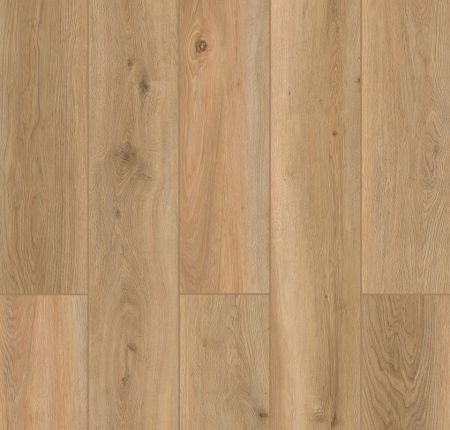 Lions Floor Indoor Delight Shoreline Décor LI-ID12
