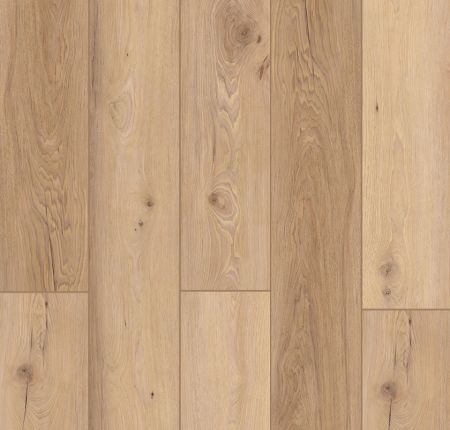 Lions Floor Indoor Delight Homewood Waltz LI-ID14