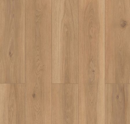 Lions Floor Lone Star Spirit XL Backyard Garnish LI-TS202