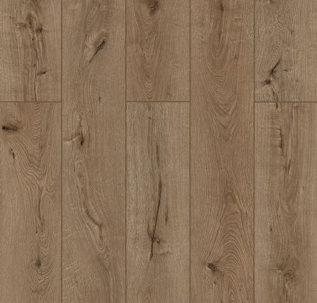 Lions Floor Lone Star Spirit XL Forgotten Bark LI-TS205