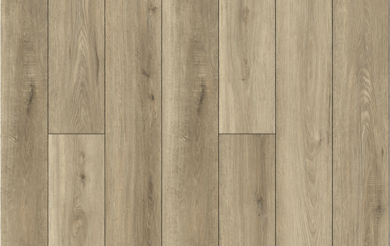 Lions Floor Bambino Dolce BB-I