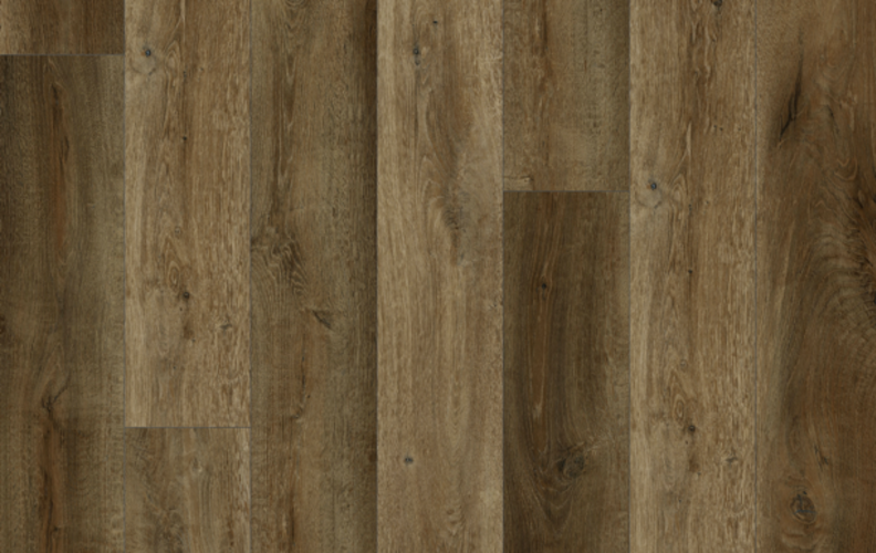 Lions Floor Bambino Ganache BB-III