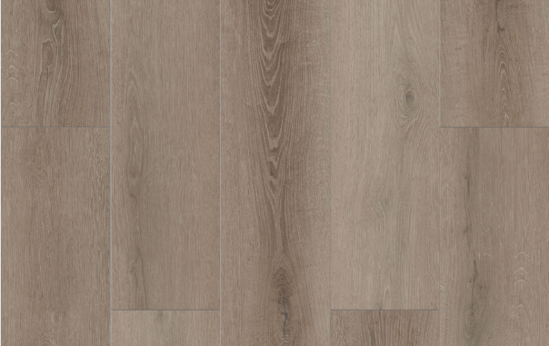 Lions Floor Bambino Coffee Feather BB-VI