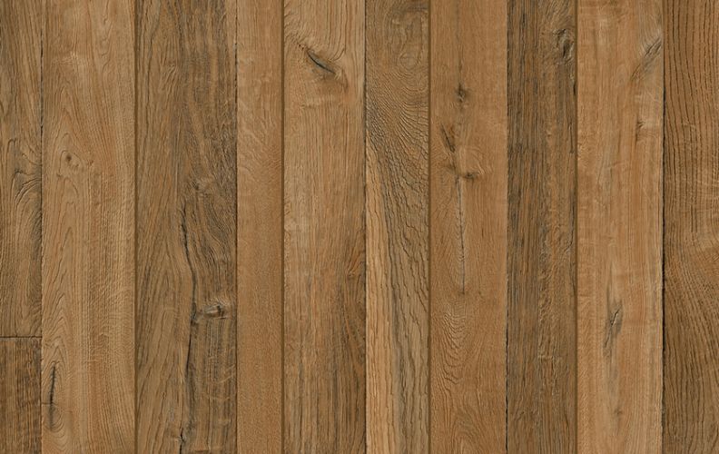 Lions Floor Bambino Oak Rhapsody BB-XIII