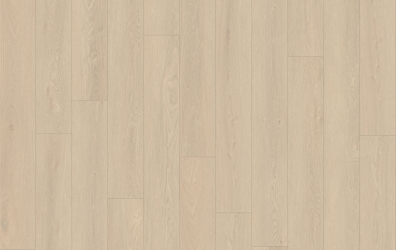 Lions Floor Seaside Summit Marine Sheen LI-SS02