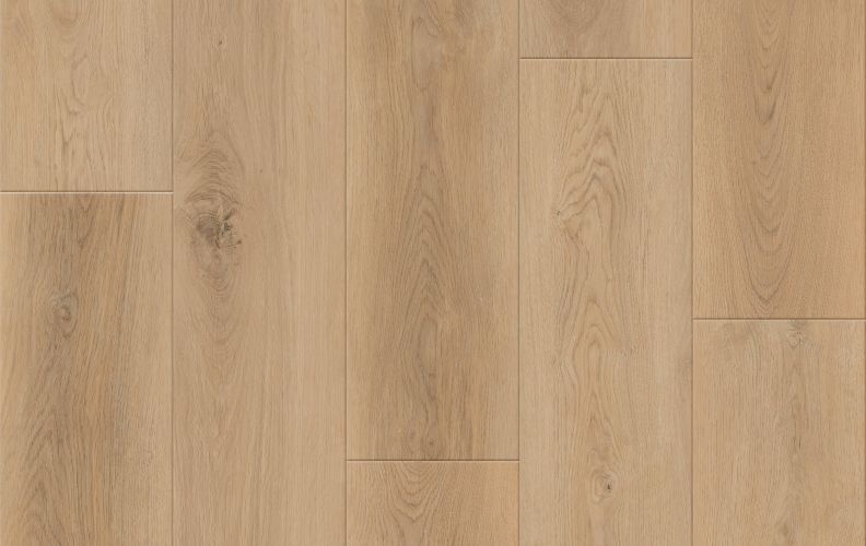 Lions Floor District Max Atherton LI-DM01