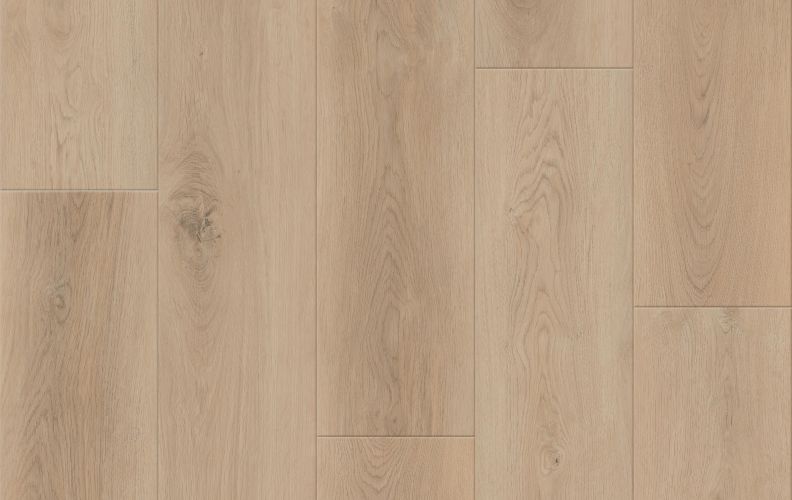 Lions Floor District Max Scarsdale LI-DM02