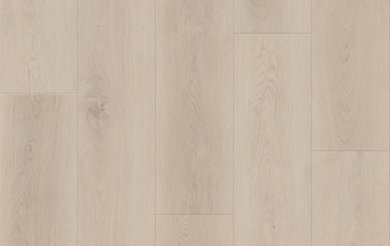 Lions Floor District Max Weston LI-DM04