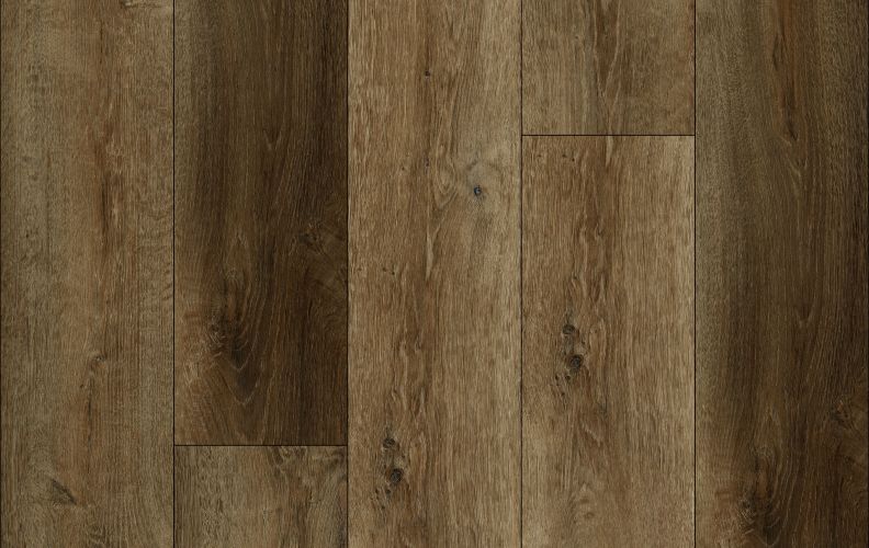 Lions Floor District Irvine LI-DT10