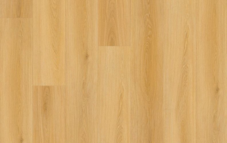 Lions Floor Lions Reservation Endless Plains LI-LR02