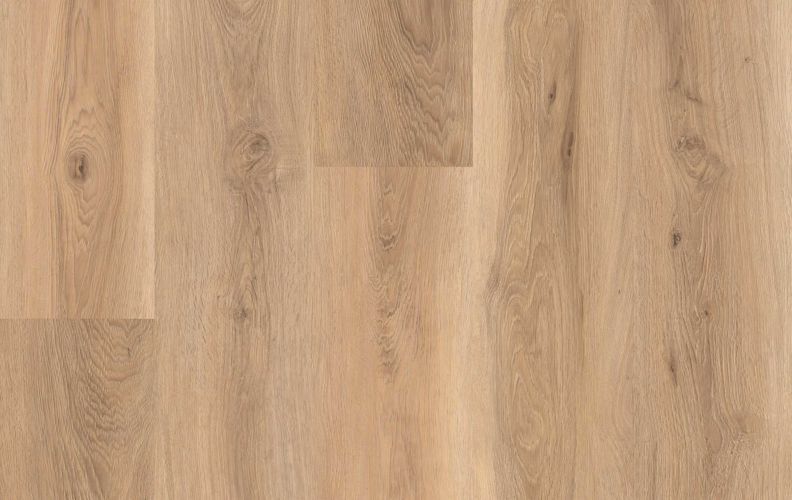 Lions Floor Lions Reservation Suncrest Plateau LI-LR04