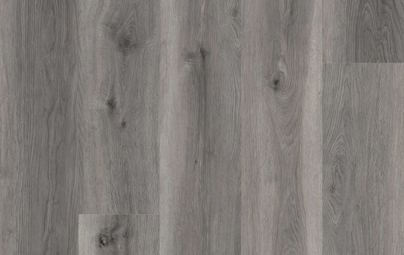 Lions Floor Lions Reservation Migration Path LI-LR06