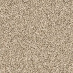 Shaw Floorigami Carpet Diem, Canvas Carpet Tile