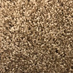 Shaw Favorite Choice, Ridgecrest Carpet