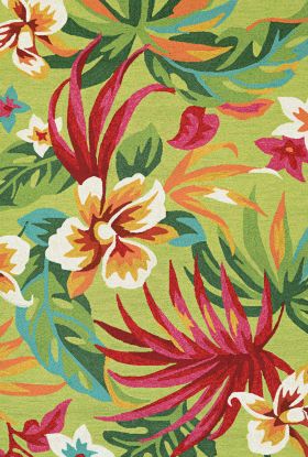 Couristan Covington Painted Fern Fern/Red